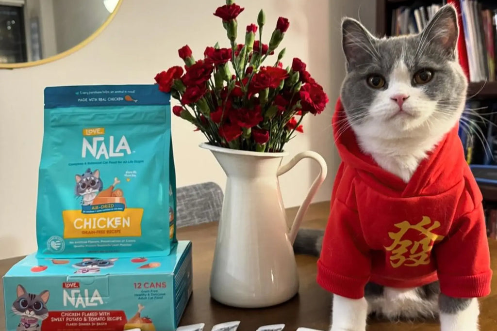 best air dried food for cats