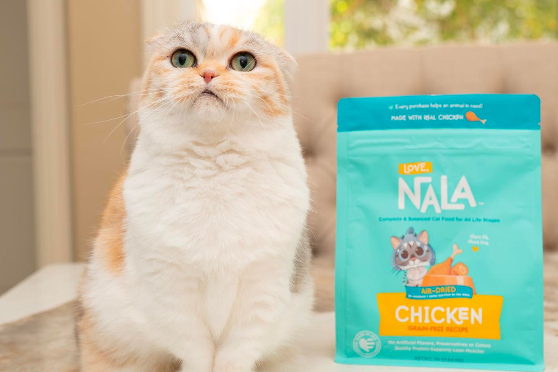 Illustration of Cat Food High In Omega 3 Fatty Acids For Joint Relief