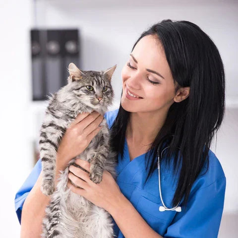 Girl holding cat