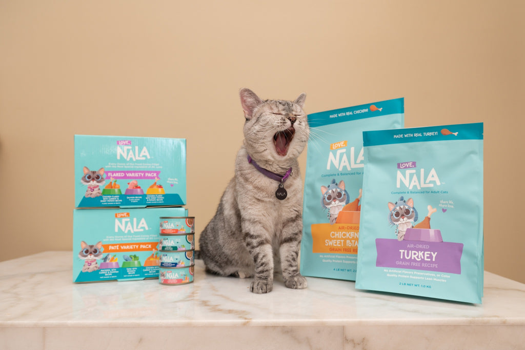 Can Cats Taste Sweets?