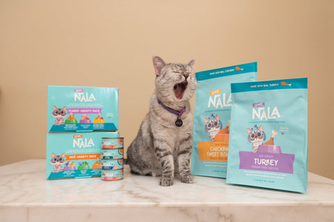 Air-Dried Cat Food vs Kibble