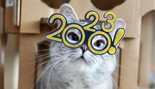 New Year, New Me-ow