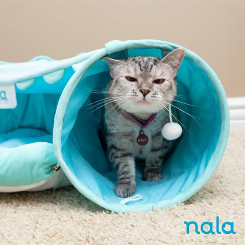 How to Tell if Your Cat is Bored