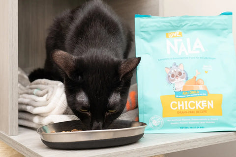 grain free cat diet