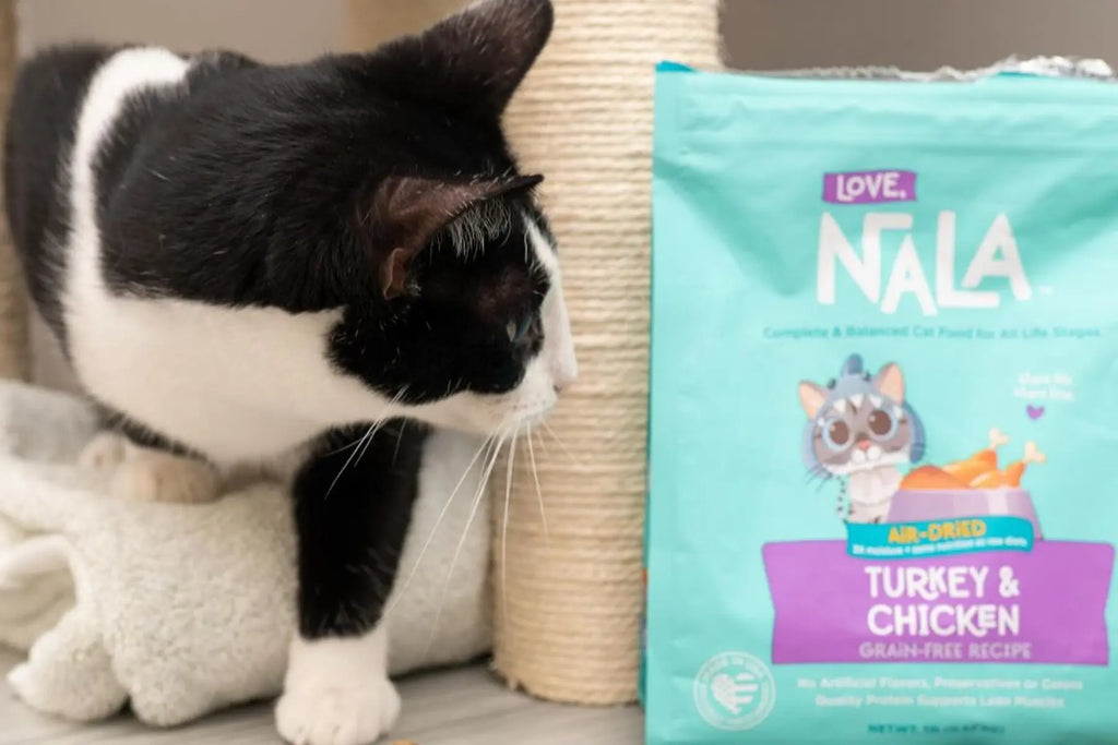 air dried cat food