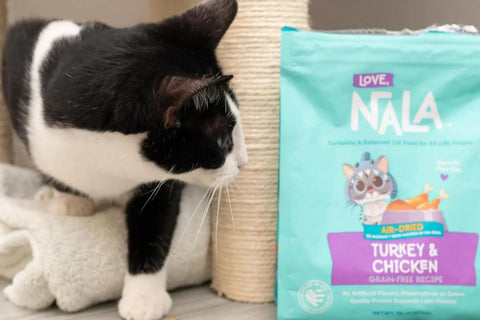 air dried cat food