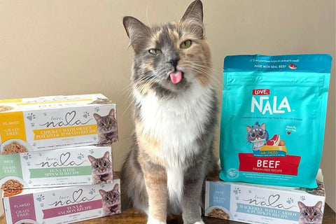 air dried cat food