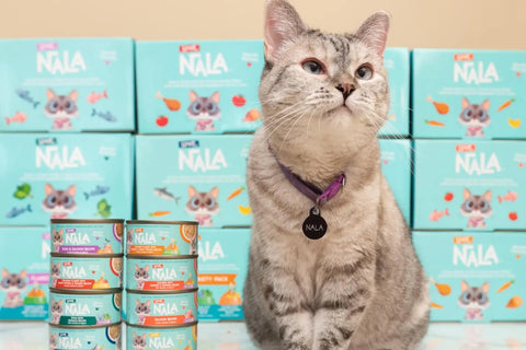 high protein cat food