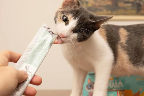 Canned Chicken for Cats: Understanding Its Nutritional Value