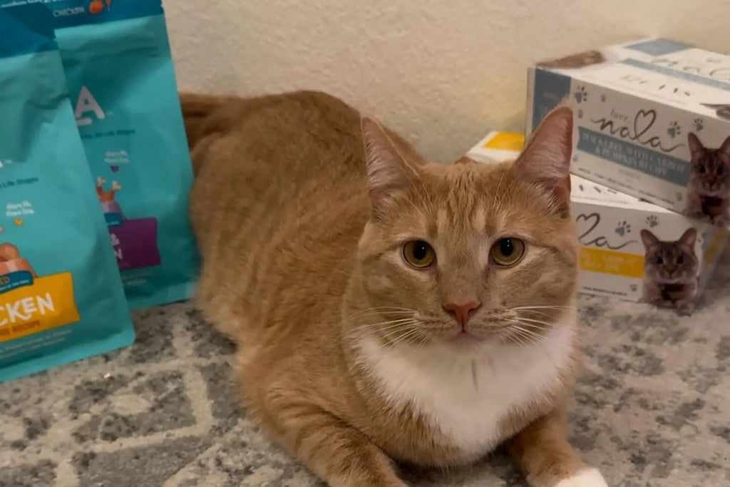 best cat food with carrots