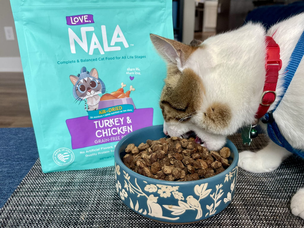 Feeding in a Multi-Pet Household