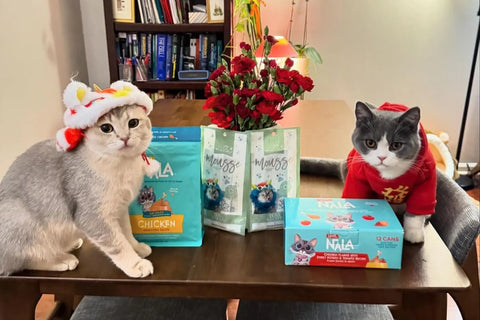 balanced cat diet