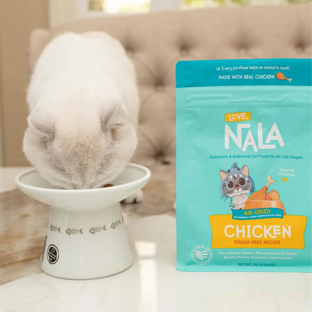 best chicken cat food