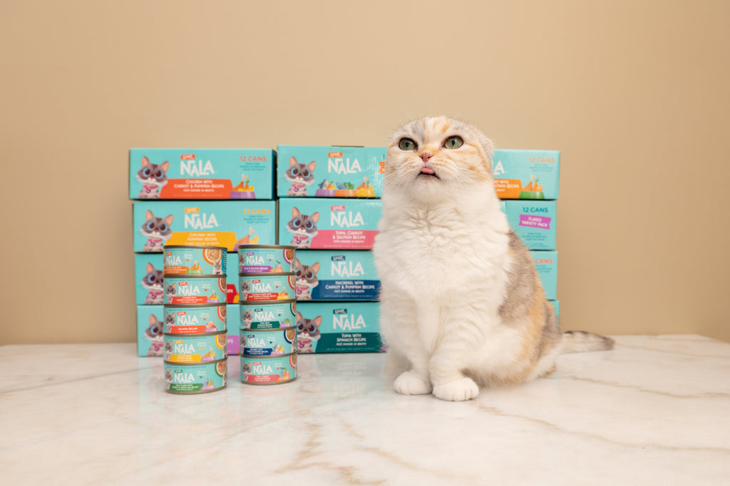 Can senior cats eat kitten food deals