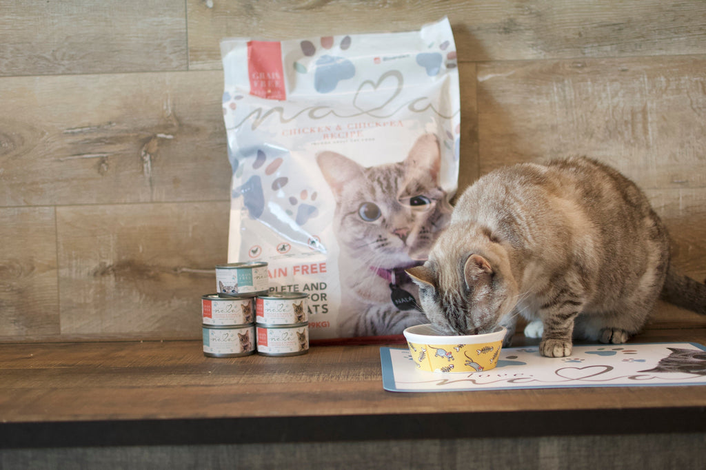 Mixing Dry and Wet Cat Food