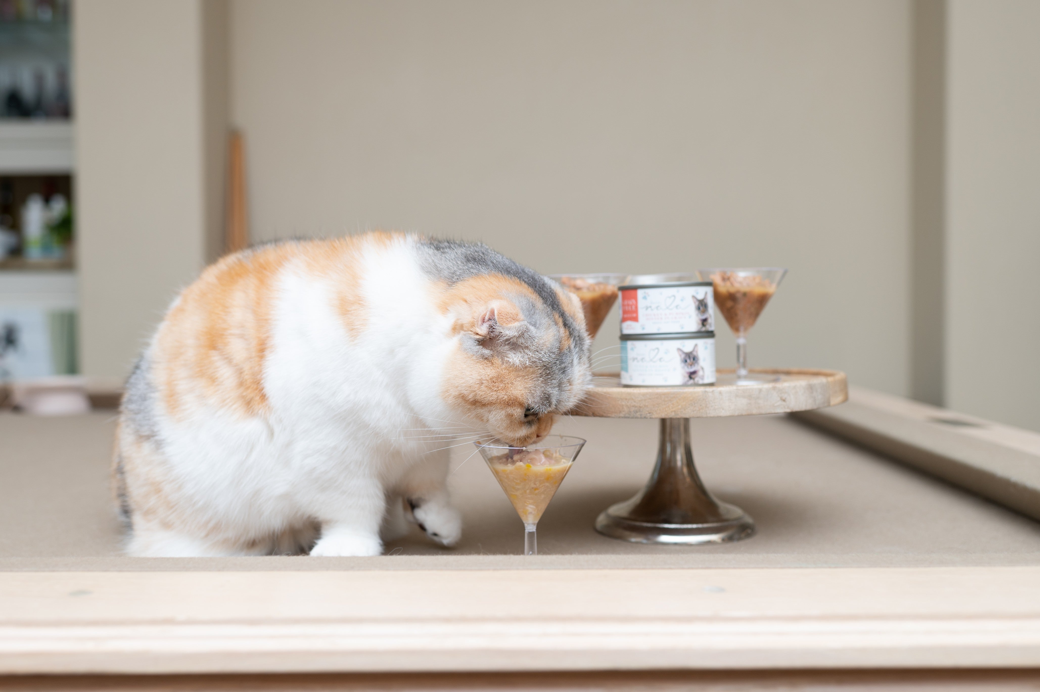 Cat Food  : The Ultimate Guide to Choosing the Best Nutrition for Your Feline Friend