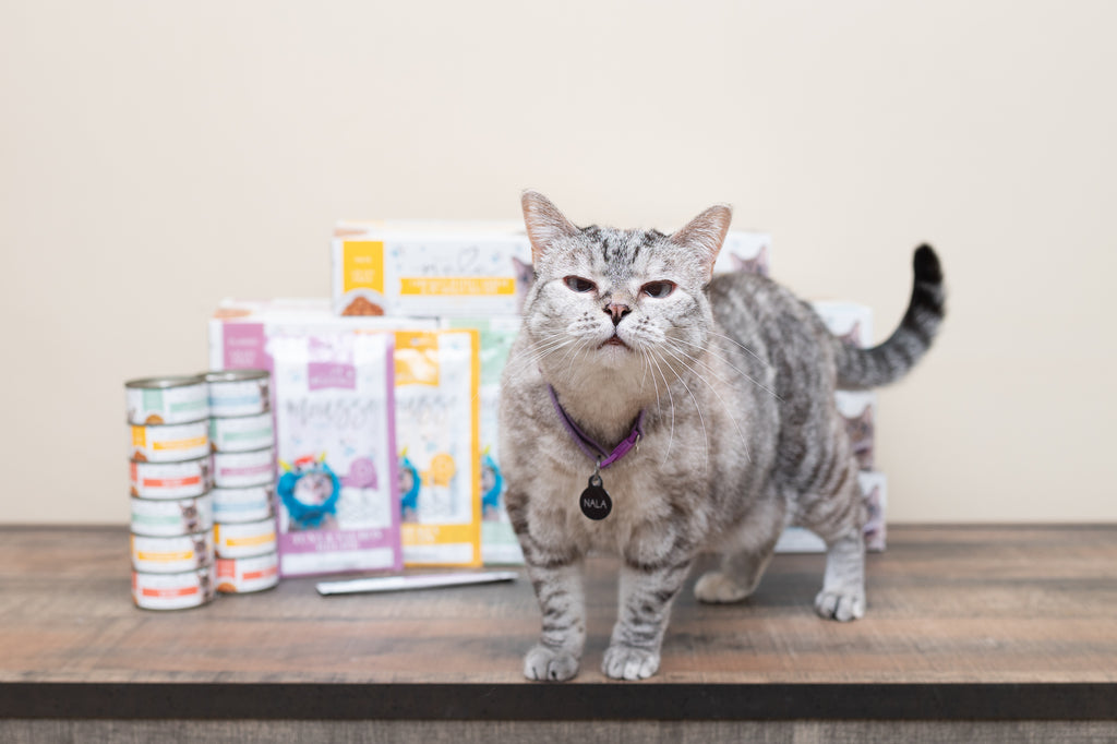 Nala’s Favorite Wet Cat Food Flavors
