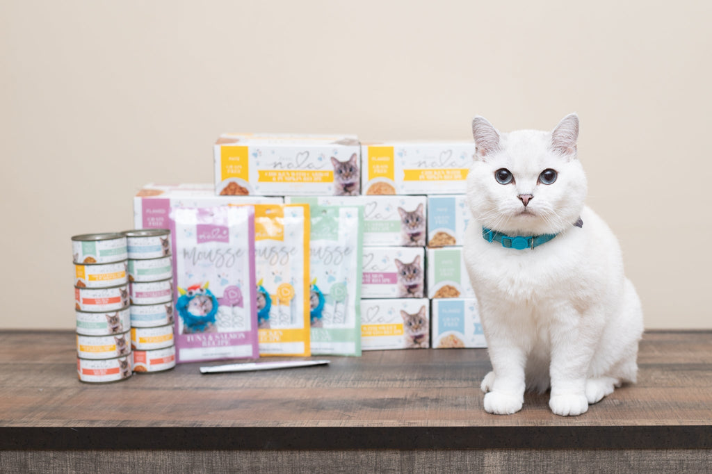 What is a Hairball and How Do They Form?