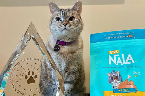 cat nutrition