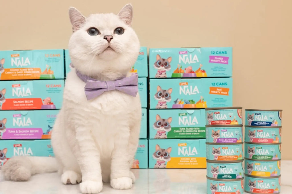 cat omega 3 supplements