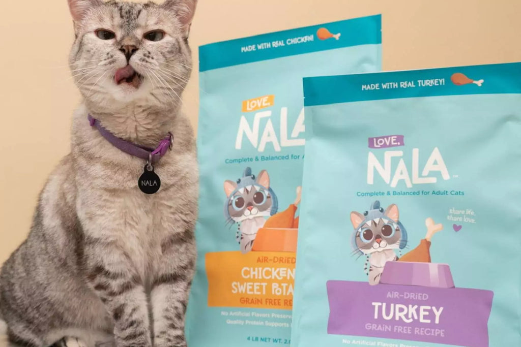 Feline Nutrition