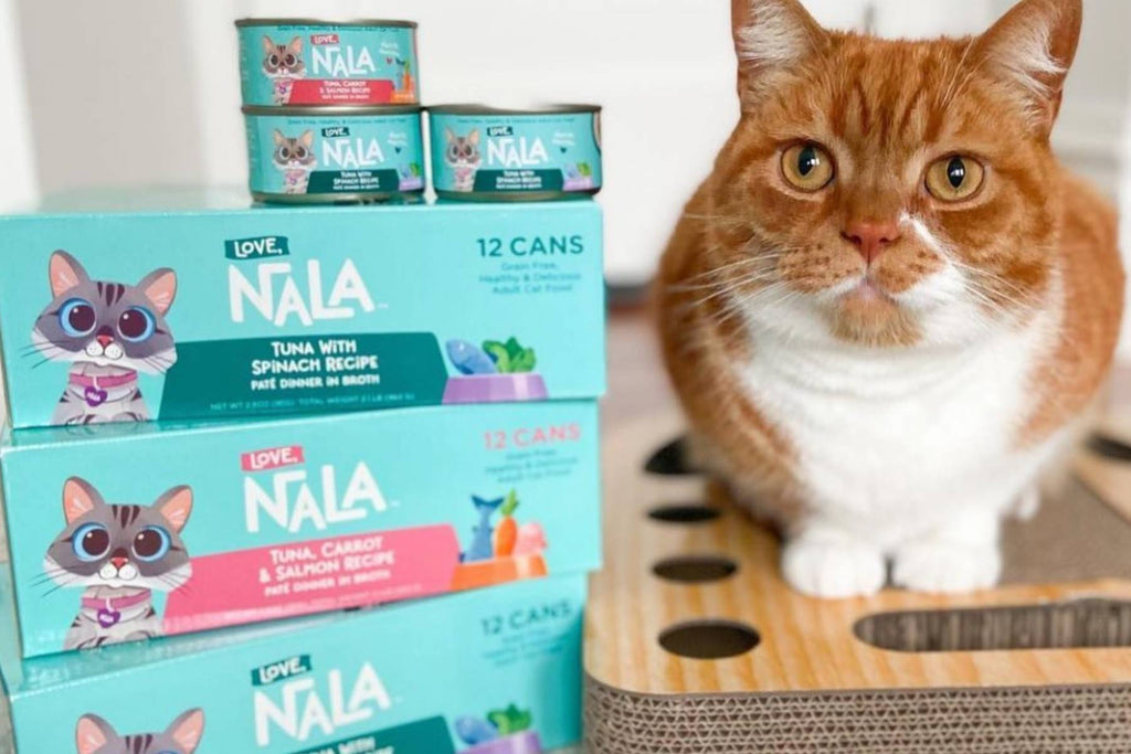 grain free cat food