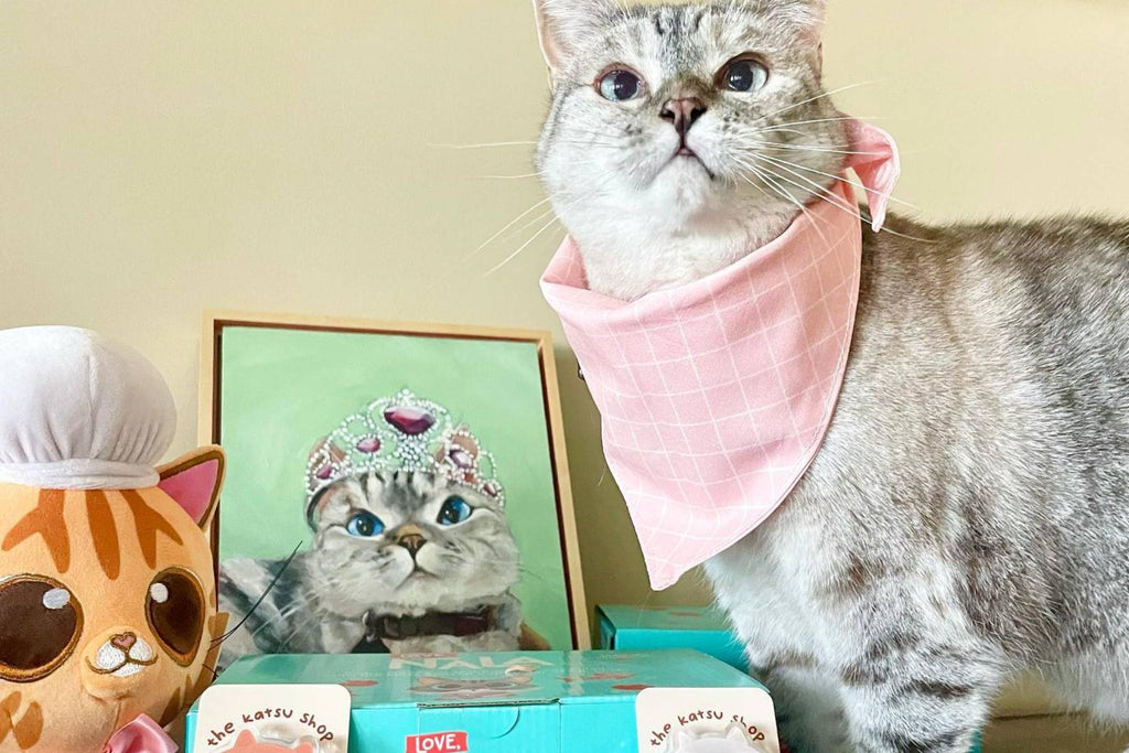 grain free cat food