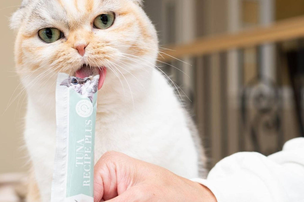 high fiber cat food