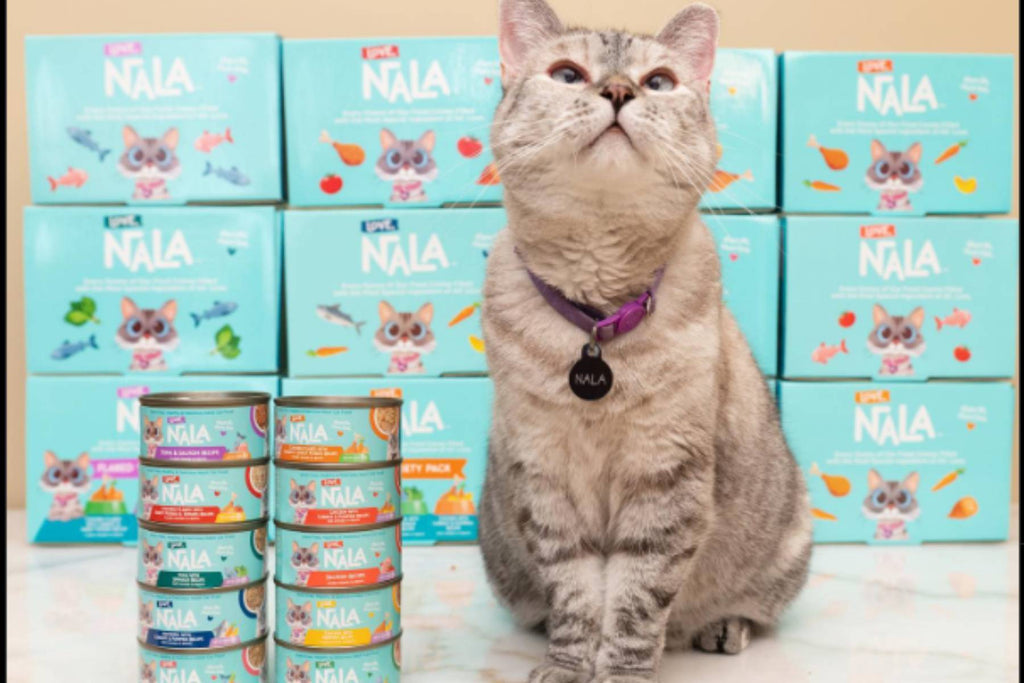 Holistic Feline Nutrition: The Advantages of Natural Cat Food