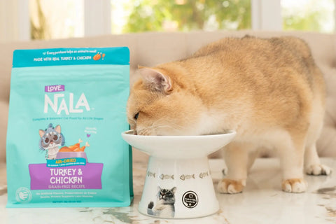 grain free cat food