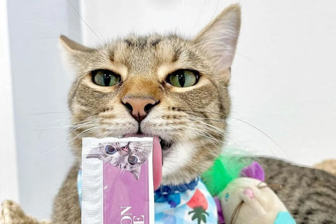 cat food nutrients