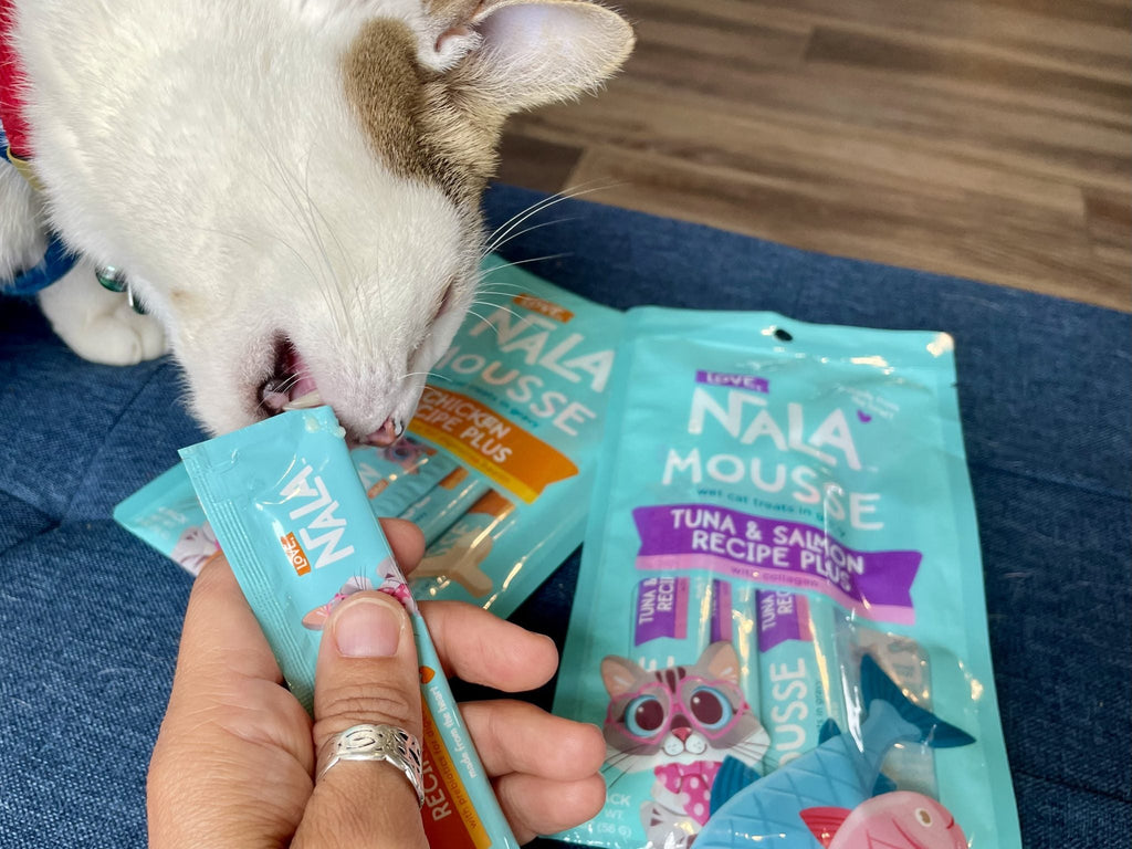 Facts About Cat Digestion