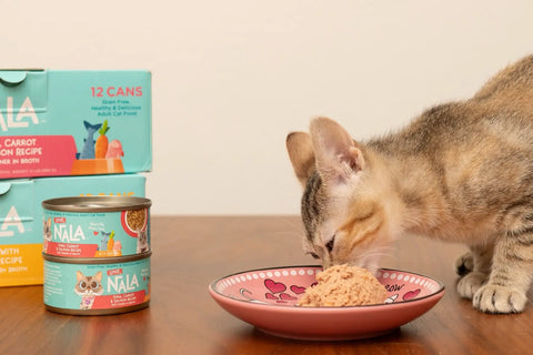 natural cat food