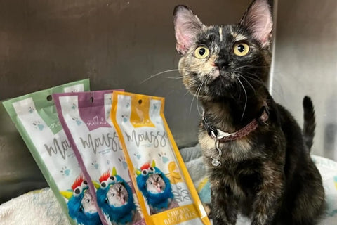 vegetable cat food