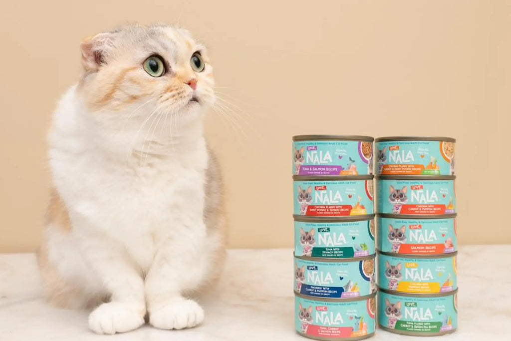 hydrolyzed cat food