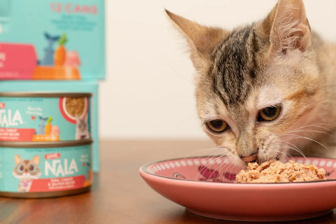 nutritious cat food