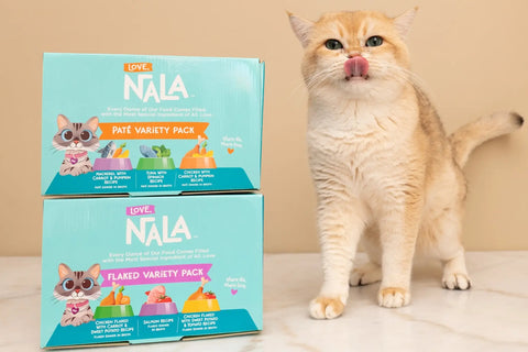 canned salmon cat food