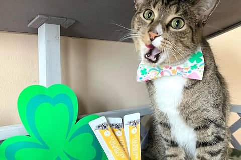 hydrolyzed cat food