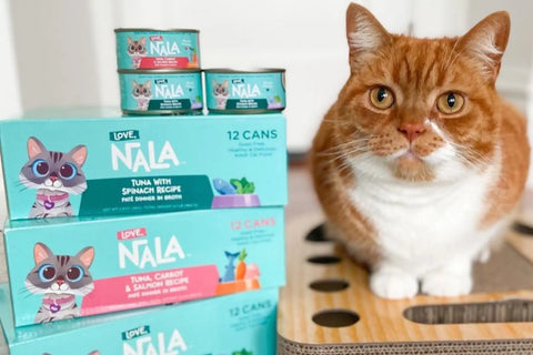 tuna fish cat food