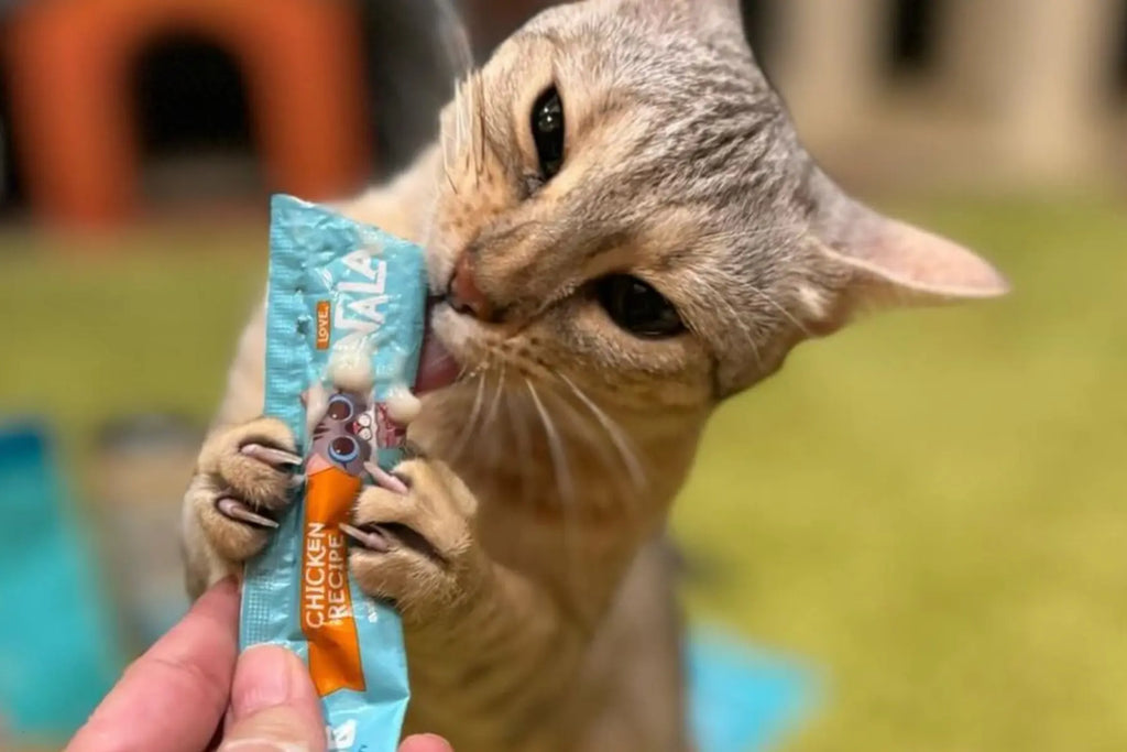 How Much Water Should My Cat Drink?