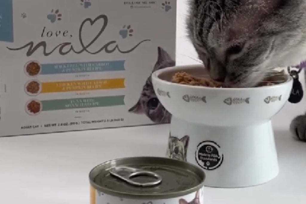 canned chicken for cats