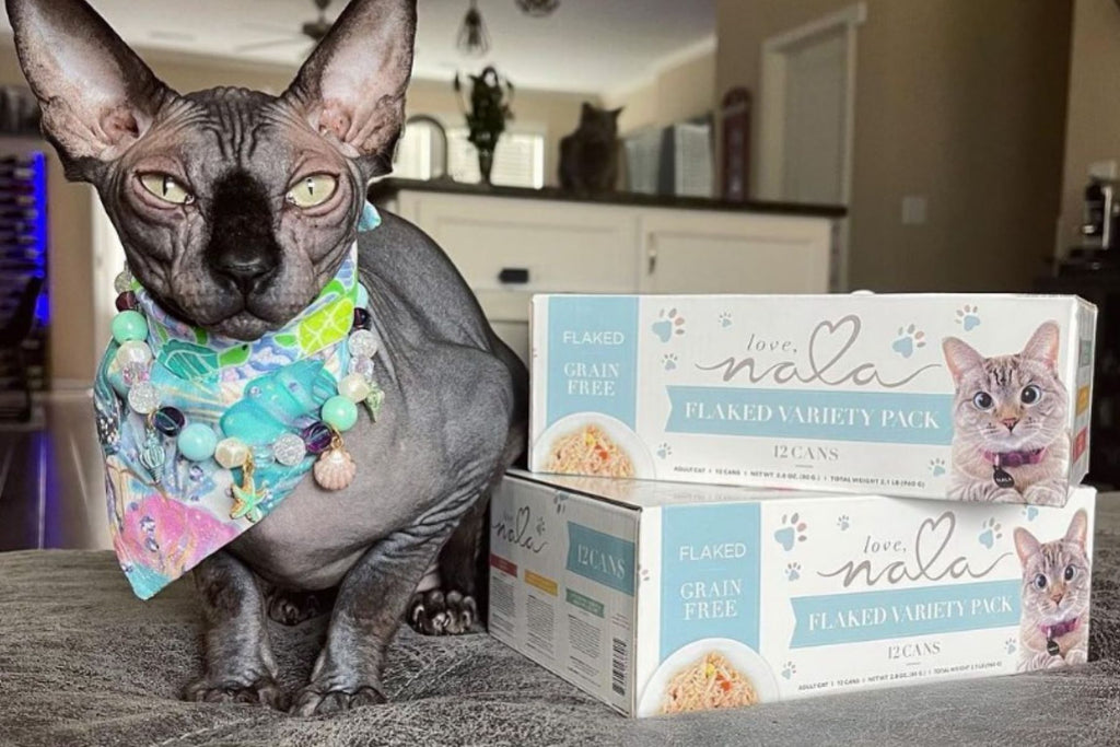 canned tuna cat food