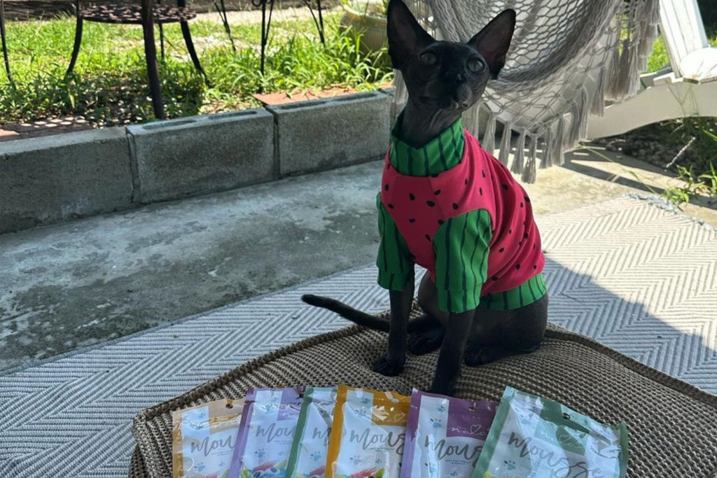 cat treats