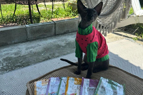 cat treats