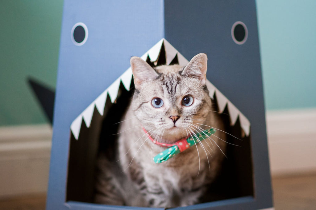 healthy wet cat food