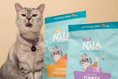 hydrolyzed protein cat food