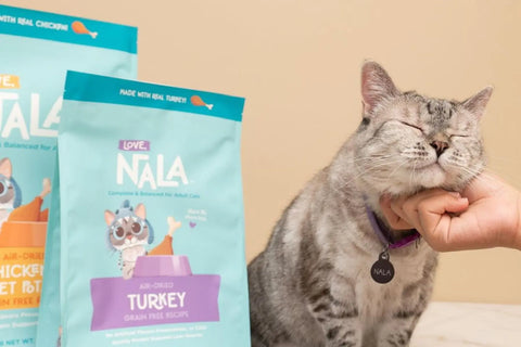 best hydrolyzed wet cat food