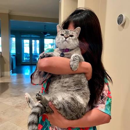 What Consent Looks Like in Cats