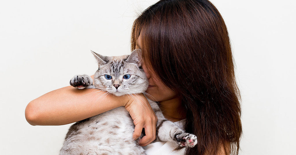Why Some Cats Don't Like Being Picked Up