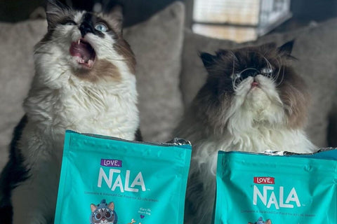 vegetables for cats